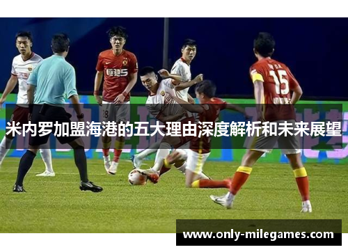 米内罗加盟海港的五大理由深度解析和未来展望