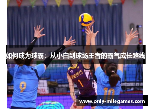 如何成为球霸：从小白到球场王者的霸气成长路线