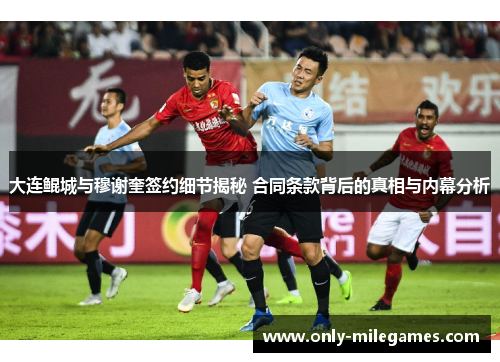 大连鲲城与穆谢奎签约细节揭秘 合同条款背后的真相与内幕分析