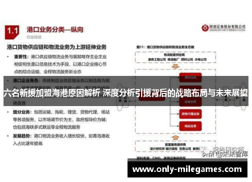 六名新援加盟海港原因解析 深度分析引援背后的战略布局与未来展望