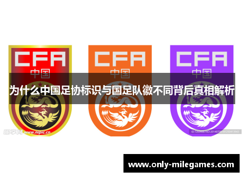 为什么中国足协标识与国足队徽不同背后真相解析 为什么中国足协标识与国足队徽不同背后真相解析