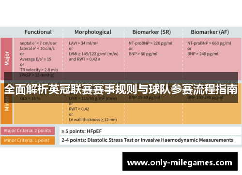 全面解析英冠联赛赛事规则与球队参赛流程指南 全面解析英冠联赛赛事规则与球队参赛流程指南
